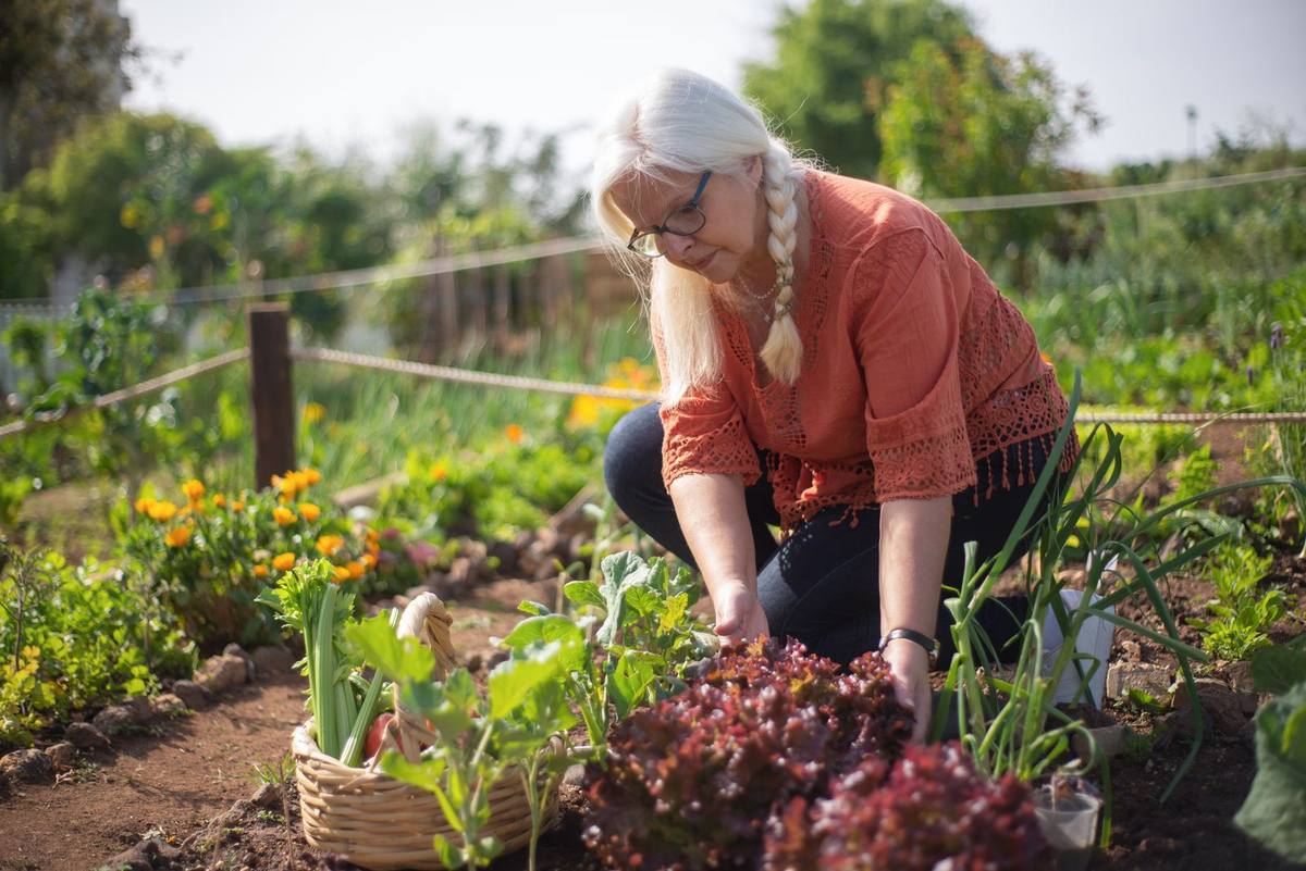 Grandfather enjoying his vegetable garden